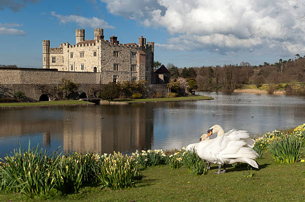 리즈 성 - kent leeds castle castle moat 뉴스 사진 이미지