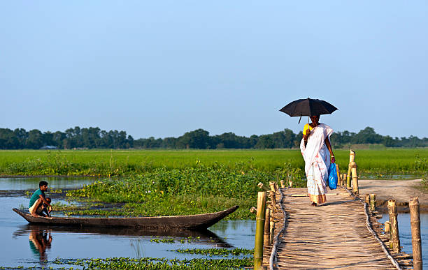 majuli, frau-bambus-brücke, assam, indien - flussinsel landform stock-fotos und bilder