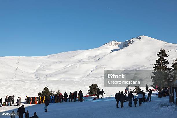 Photo libre de droit de Personnes À La Montagne banque d'images et plus d'images libres de droit de Bourse séreuse - Bourse séreuse, Destination de voyage, En sapin