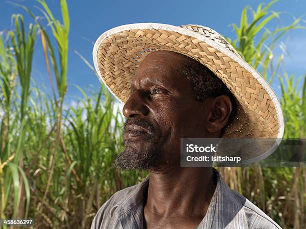 Sugar Cane Harvester Stockfoto und mehr Bilder von Barbados - Barbados, Landwirtschaft, Zuckerrohr