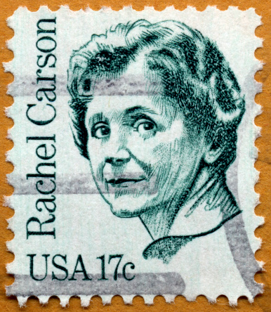 Vernon, Connecticut, USA - February 23, 2008: U. S. postage stamp issued in 1981 depicts biologist and ecologist and author Rachel Carson. She wrote a controversial book about pesticides and was recognized posthumously by President Carter who awarded her the Presidential Medal of Freedom. She died in 1964.