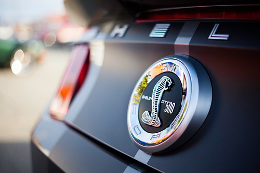 Dartmouth, Nova Scotia, Canada - June 7, 2012: Shelby GT500 rear badging including the iconic Cobra snake badge and Shelby GT500 text.  Also visible in photo is the Shelby text that graces the rear of the vehicle and the left tail light, out of focus and to the left of the frame.  First available in 1965 the Shelby Mustang became a performance icon. After 1970, the Shelby did not again become available until 2007 when it was reintroduced.