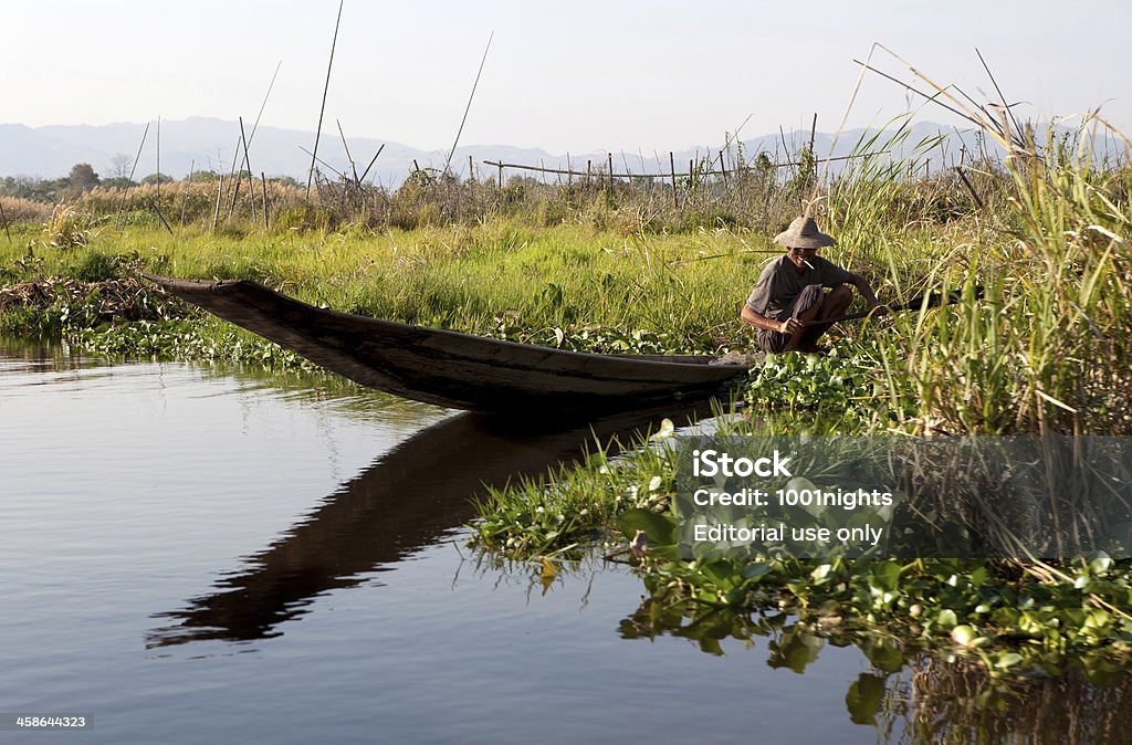 Agricultura no Lago Inle, Myanmar - Foto de stock de Adulto royalty-free