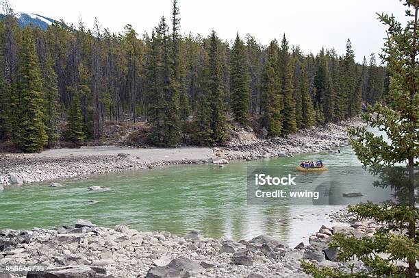 Photo libre de droit de Rafting En Rivière Pittoresque banque d'images et plus d'images libres de droit de Rafting en eau vive - Rafting en eau vive, Alberta, Aventure