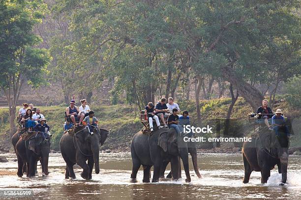 Elefanten Reiten Stockfoto und mehr Bilder von Abenteuer - Abenteuer, Aktivitäten und Sport, Asien