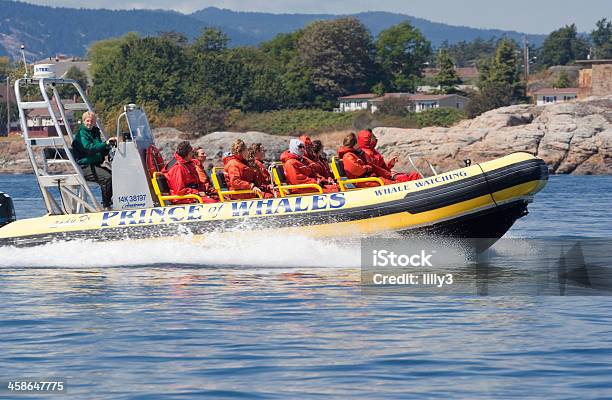 Persone Che Godono Di Viaggio Con Avvistamento Balene Zodiaco - Fotografie stock e altre immagini di Rafting sulle rapide