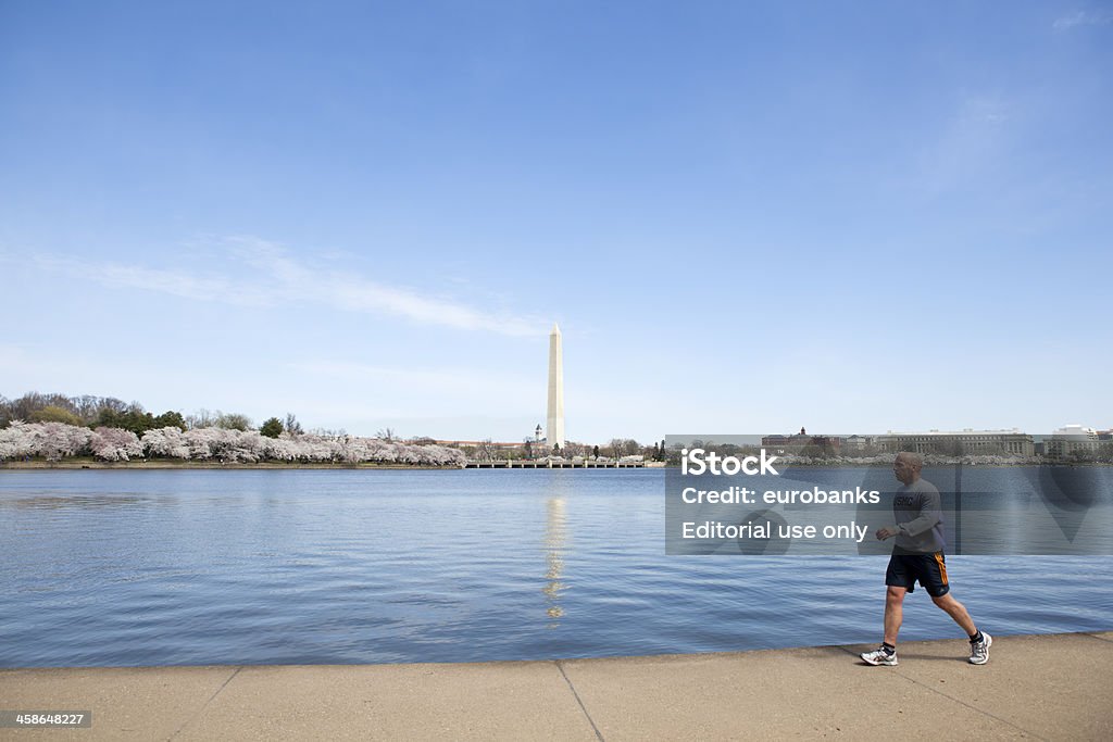 Athlete in Washington, DC "Washington, DC, USA - March 28, 2011: An athlete walking along the Tidal Basin in Washington, DC on a spring day with cherry blossoms and Washington Memorial in the background." Adult Stock Photo