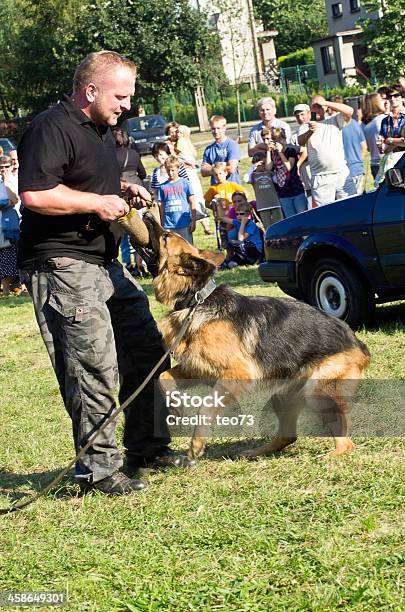 Photo libre de droit de Chien Policier banque d'images et plus d'images libres de droit de Adulte - Adulte, Affaires, Agent de sécurité