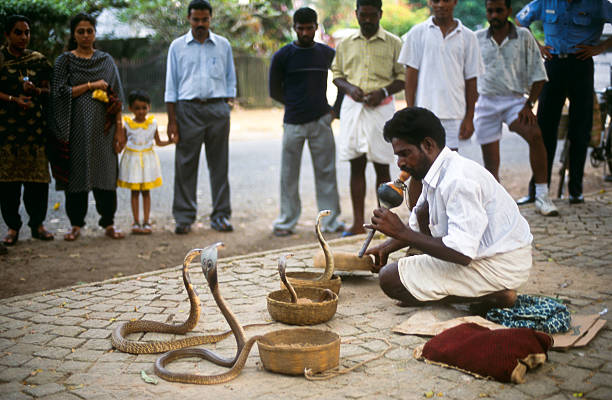 schlangenbeschwörer - cobra people india snake stock-fotos und bilder