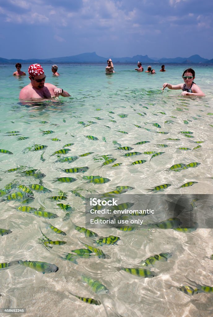 Feeding fish. Krabi Province, Thailand - March 10. 2010: Western tourists enjoy feeding fish with rice and bread in the shallow crystal clear waters surrounding many of the tropical idyllic islands that are to be found in Krabi Province. Activity Stock Photo
