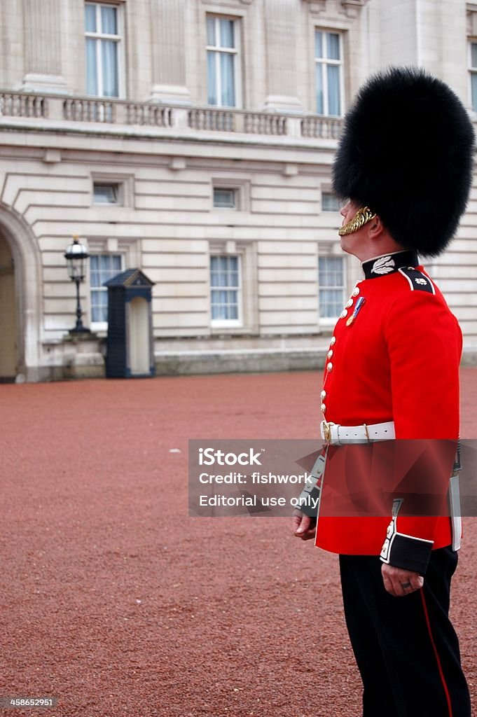 Palácio de Buckingham Guarda - Royalty-free Capitais internacionais Foto de stock