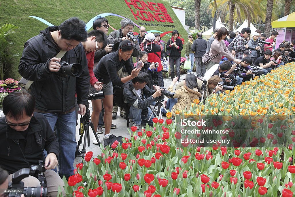 Jardin de tulipes dans le parc Victoria - Photo de Agriculture libre de droits