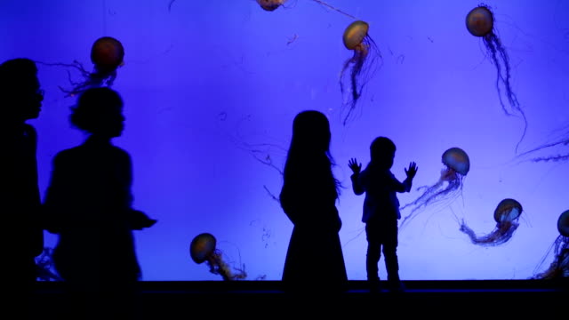 Jelly fish in big aquarium with silhouettes of people