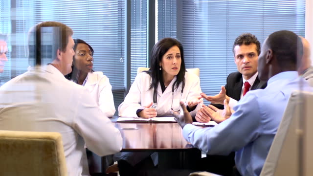 Female Doctor Leads a Meeting with Professionals - WS