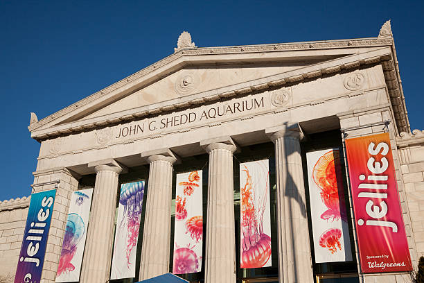 Shedd Aquarium in Chicago stock photo