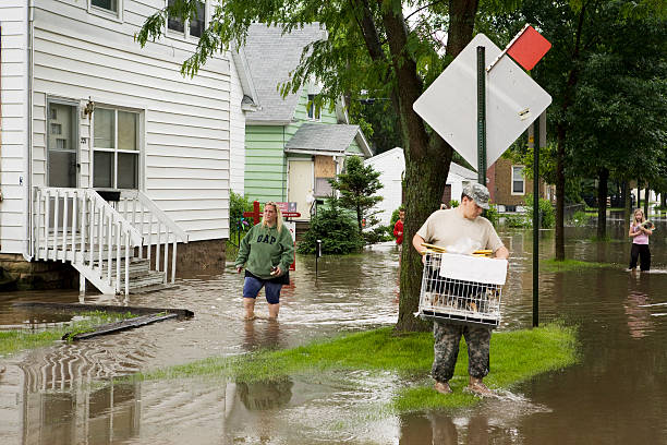 Midwest Flood Victims Cedar Rapids, IA,USA - June 12, 2008: National Guard helps Family Evacuate flooded home during the 2008 Midwest flood. animal related occupation stock pictures, royalty-free photos & images
