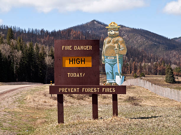smokey bear placa com queimadas cenário de montanhas - outdoor fire - fotografias e filmes do acervo