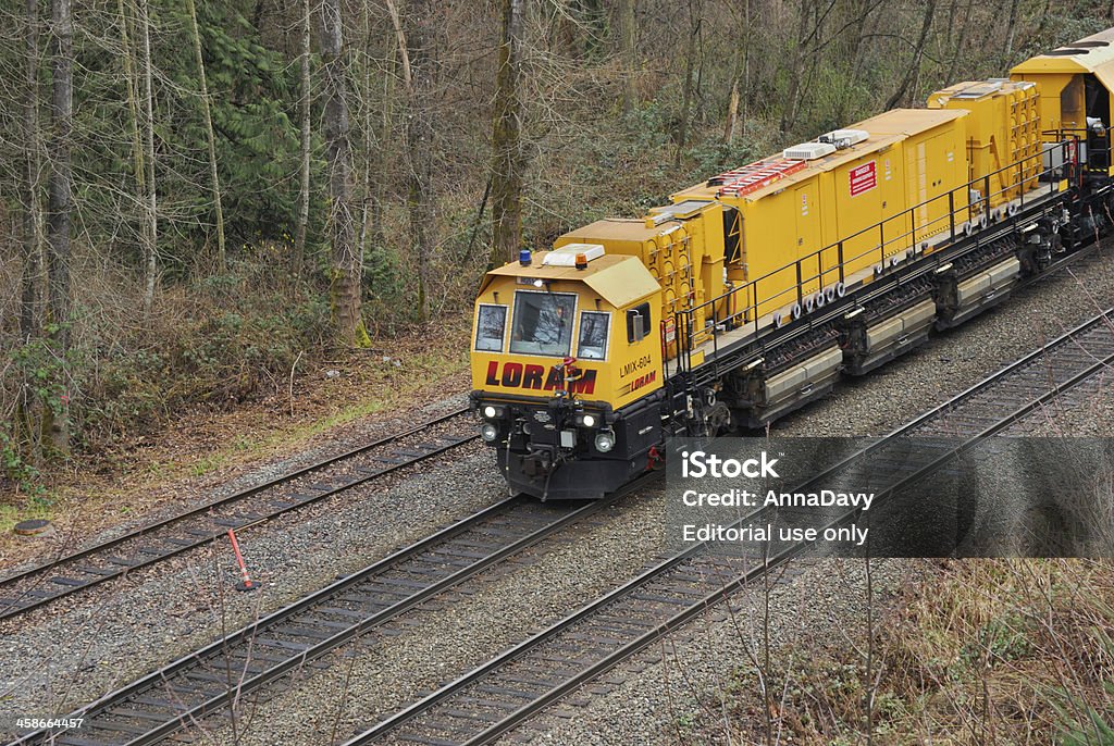 LORAM Rail Meuleuse - Photo de Arbre sans feuillage libre de droits