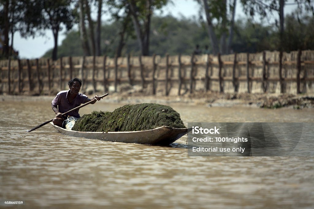 La agricultura en lago Inle, Myanmar - Foto de stock de Adulto libre de derechos