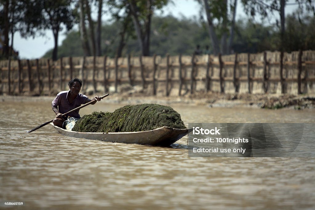 Allevamento sul Lago Inle, Myanmar - Foto stock royalty-free di Acqua