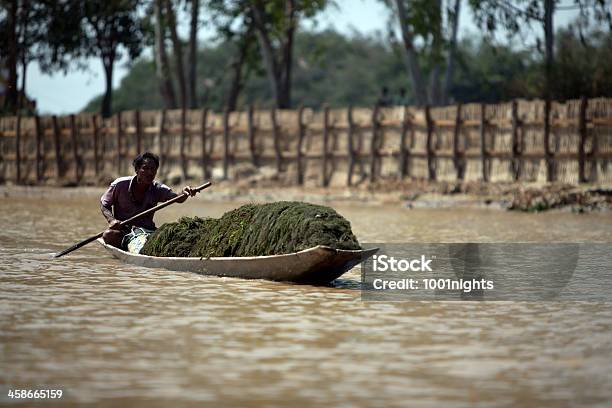 Foto de Agricultura No Lago Inle Myanmar e mais fotos de stock de Adulto - Adulto, Agricultor, Agricultura