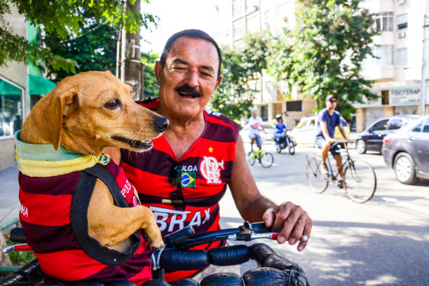 fãs de futebol - major league soccer imagens e fotografias de stock