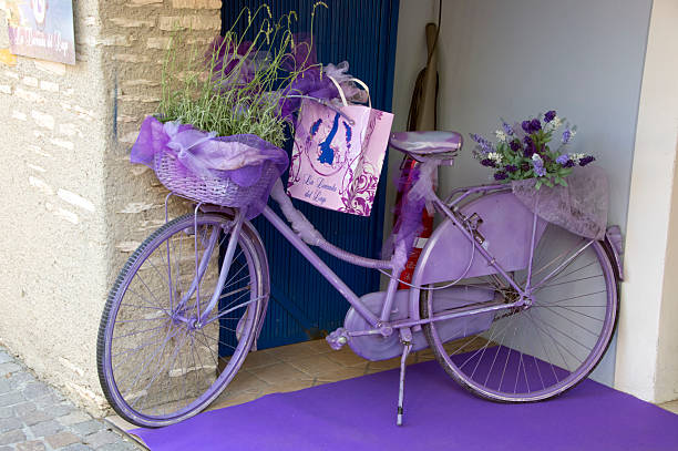 Sirmione, Italy - June 20, 2011: A violet bicycle advertises a shop selling lavender coming from the surrounding territory of Lake Garda: some lavender is on the bike basket and on the back saddle