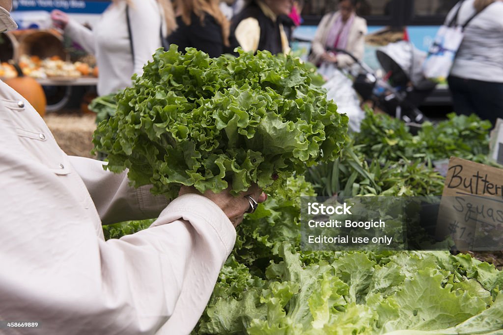 Shopping für grünem Gemüse in NYC Farmer's Market - Lizenzfrei Bauernmarkt Stock-Foto