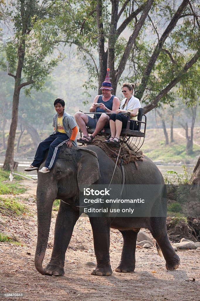 Elefante ride. - Royalty-free Adulto Foto de stock