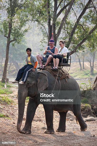 Elefante Ride - Fotografias de stock e mais imagens de Adulto - Adulto, Animal, Atividade