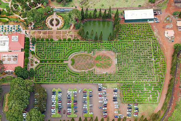 Dole Plantation Maze Wahiawa, Oahu, Hawaii, USA - June 9, 2010: Aerial view of Dole Plantation's Pineapple Garden Maze which in 2008 set new record for the world's largest maze from the Guinness Book of World Records. Dole Plantation is popular tourist destination welcoming more than one million visitors annually. guinness photos stock pictures, royalty-free photos & images