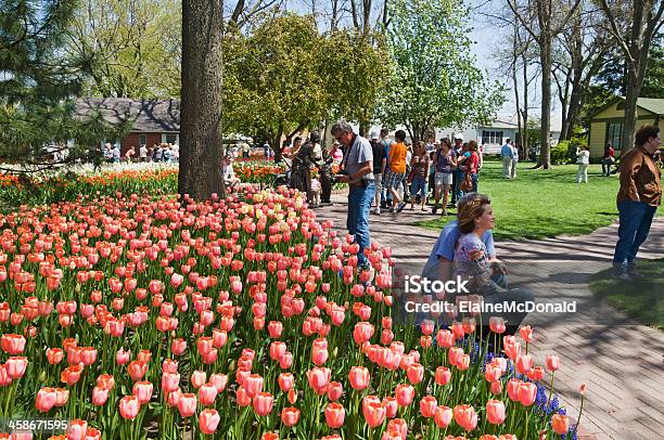 Tulip Time Festival In Pella Iowa Stock Photo - Download Image Now - Iowa, Pella - Iowa, Traditional Festival