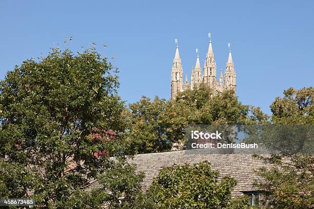 Princeton University Holder Hall Tower Stock Photo - Download Image Now - Princeton University, Architecture, Chimney