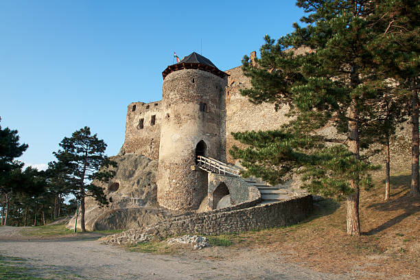 mittelalterliche royal boldogko castle in ungarn tokaj" region" - the ramparts stock-fotos und bilder