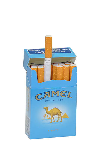 Camelo cigarros isolados - fotografia de stock