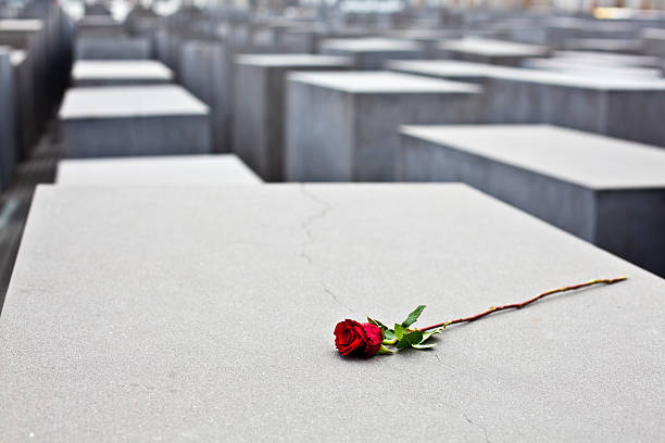 rosa rossa alla memoria dell'olocausto a berlino, germania - anti semitism foto e immagini stock