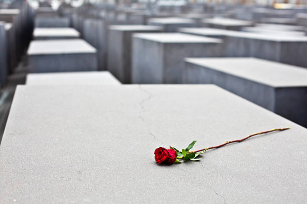 Red Rose at Holocaust Memorial in Berlin, Germany Germany, Berlin - November 17, 2011: Memorial to the Murdered Jews of Europe. The memorial consists of a 19,000 square meters site covered with 2,711 concrete slabs or stelae. A red rose is posed on one of the concrete slabs. nazism photos stock pictures, royalty-free photos & images