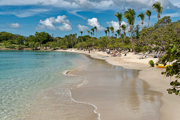 caneel bay beach w wyspy dziewicze - caneel bay zdjęcia i obrazy z banku zdjęć