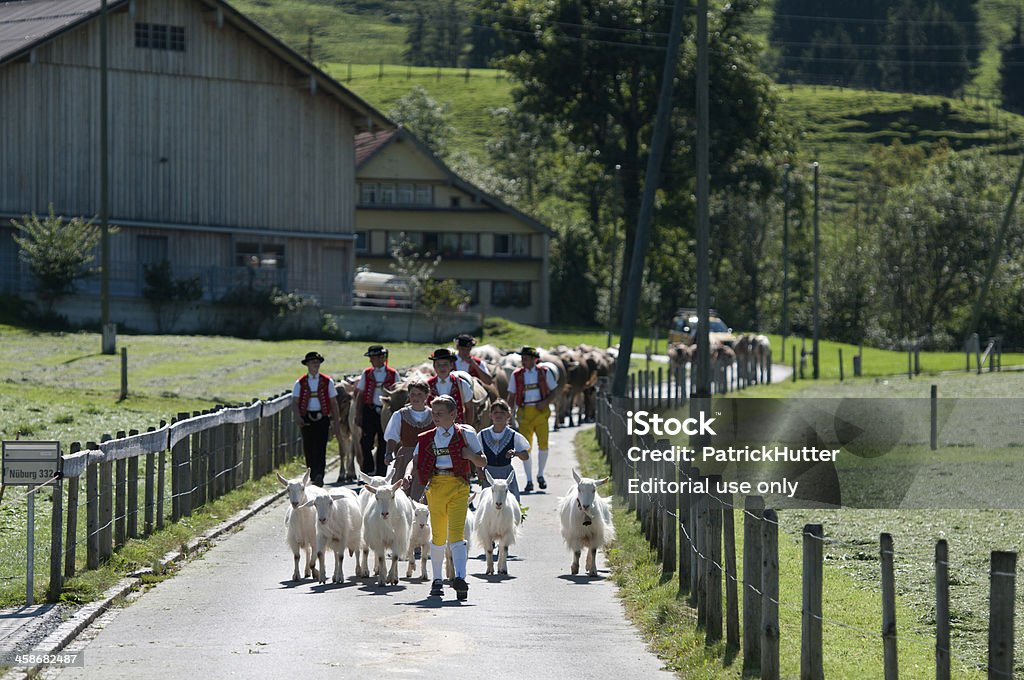 Appenzell Urnaesch, Appenzell Outer Rhodes, Switzerland-September 10, 2011: A boy and two girls with five farmers in traditional Swiss costumes bring the goats and cows in a traditional procession called \"Alpabzug\" from the alpine pastures into the valley. Agriculture Stock Photo