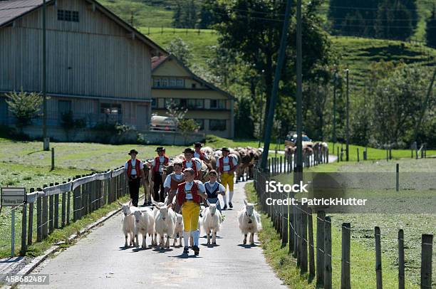 Appenzell Stock Photo - Download Image Now - Agriculture, Animal, Appenzellerland Canton