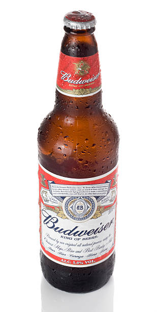 budweiser beer - bud stock-fotos und bilder