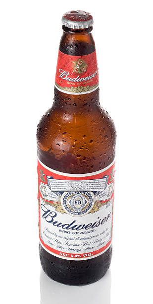 cerveza budweiser - budweiser fotografías e imágenes de stock