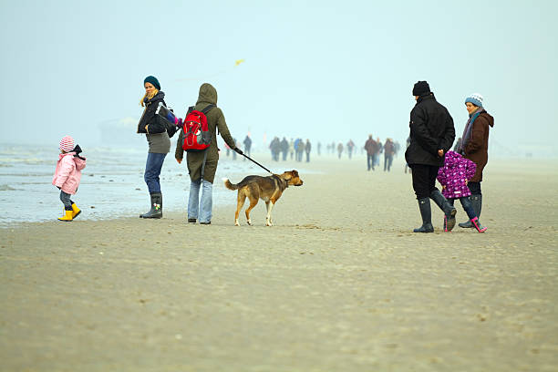 Holidays with Dogs