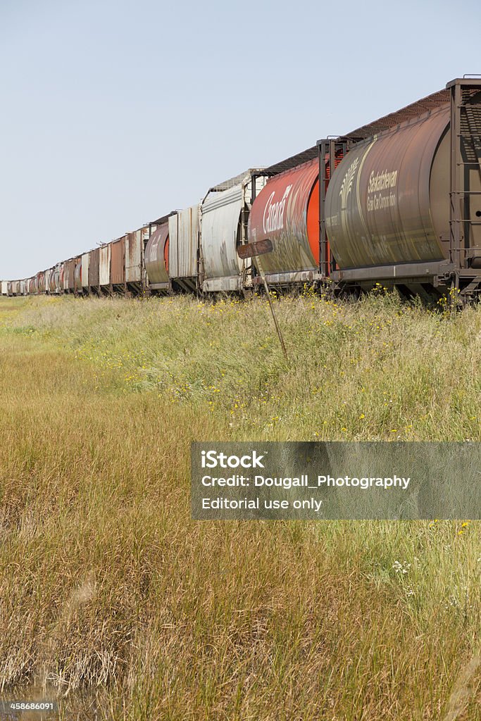 Vertikale Foto von kanadischen Grain-Autos auf die Verkleidung - Lizenzfrei Bahngleis Stock-Foto