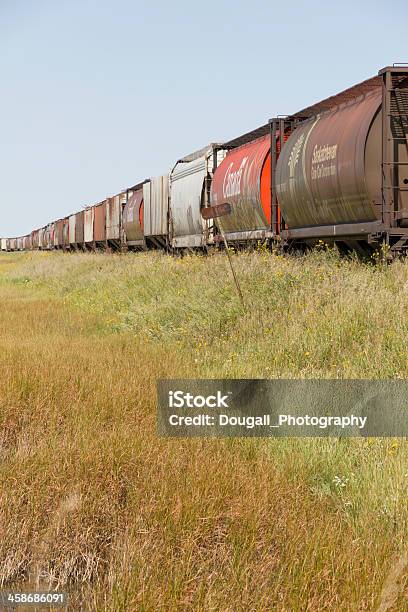 Vertikale Foto Von Kanadischen Grainautos Auf Die Verkleidung Stockfoto und mehr Bilder von Bahngleis