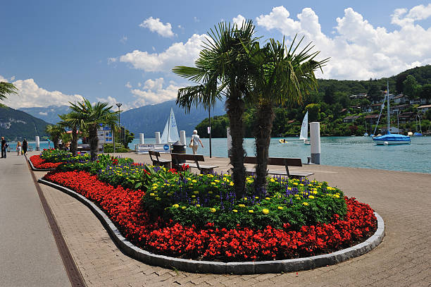 lungomare nel spiez - switzerland lake thun people spiez foto e immagini stock