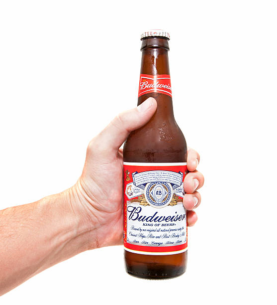 botella de cerveza budweiser en mano - budweiser fotografías e imágenes de stock