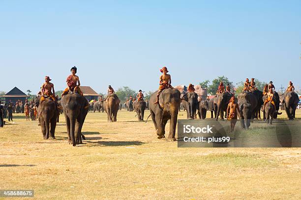 Elefantes Manada Andar Campo Propagação - Fotografias de stock e mais imagens de Andar - Andar, Animal, Animal selvagem