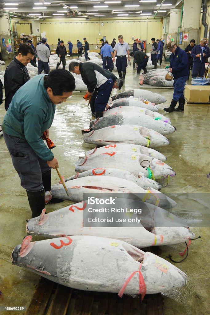 Asta del tonno ispezione del mercato di Tsukiji - Foto stock royalty-free di Adulto