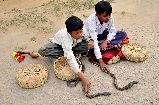 junge schlangenbeschwörer - cobra people india snake stock-fotos und bilder
